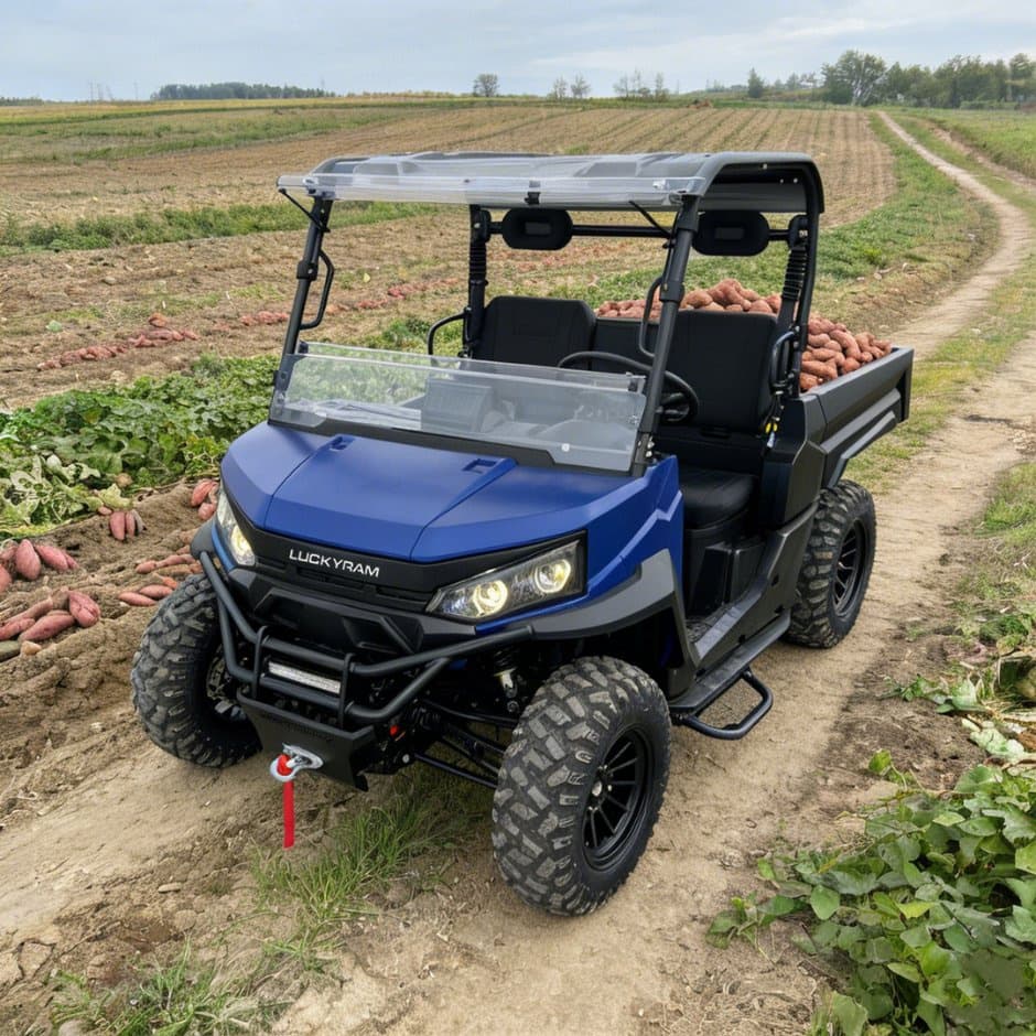 73.6V 4WD UTV 10kw AC モーター EPS ステアリング 150ah バッテリー